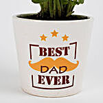 Syngonium Plant For Dad