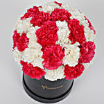 Dark Pink & White Carnations Box Arrangement