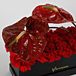 Red Carnations & Red Anthuriums Black FNP Box