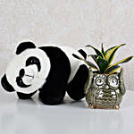 MILT Sansevieria And Black Panda Toy Combo