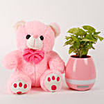 Musical Syngonium Plant And Teddy Bear Combo
