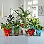 Set of 10 Enchanting Green Plants