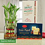 Lucky Bamboo And Soan Papdi For Rakhi