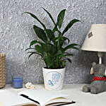 Lush Green Peace Lily Plant