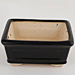 Ceramic Rectangular Bonsai Tray Black