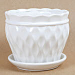 Designer Cup & Saucer Ceramic Vase White
