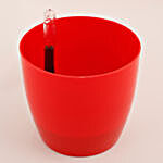 Imported Plastic Self Watering Planter Red