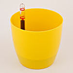 Self Watering Imported Plastic Planter Yellow
