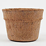 Bio Degradable Coconut Husk Pot Medium