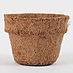 Bio Degradable Coconut Husk Pot Mini