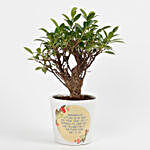 Ficus I Shape Bonsai Plant in Printed Ceramic Pot