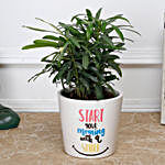 Podocarpus Plant in Printed Ceramic Pot