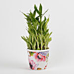 3 Layer Bamboo Plant in Stoneware Floral Pot