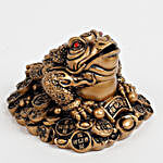 The Feng Shui Frog For Wealth