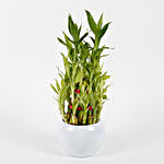 Three Layer Bamboo Plant in Orchid Metal Pot