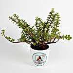 Jade Plant in White Personalised Ceramic Pot