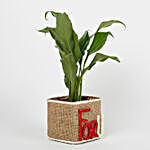 Peace Lilly in Glass Vase For U