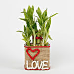 Two Layer Lucky Bamboo in a Glass Vase Love