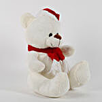 Adorable Santa Teddy Bear