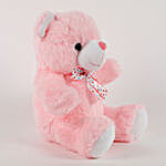 Cute Pink Sitting Teddy Bear