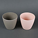 Combo of 2 Recycled Plastic Conical Vases Peach & Grey