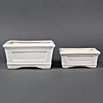 Combo of 2 White Ceramic Bonsai Tray Vases