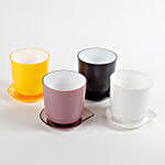 Combo of 4 Melamine Cup & Saucer Vases