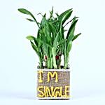 Two Layer Lucky Bamboo For Singles Day