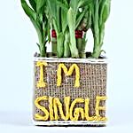 Two Layer Lucky Bamboo For Singles Day