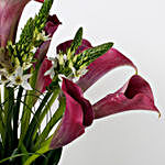 12 Exotic Peregrine Purple Calla Lilies 9 White Ornithogalum in Glass Vase