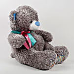 Teddy Bear With Rose Fur Pattern Grey