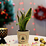 MILT Sansevieria Plant in Ceramic Pot for Christmas