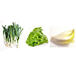 Spring Onion Lettuce & Endive Seeds Combo
