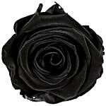 Black Jade- The Forever Black Rose