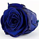 Royal- Beautiful Forever Blue Rose