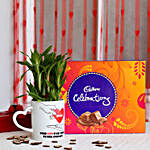 2 layer Lucky Bamboo Plant with Cadbury Celebrations