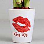 Kiss Day Special Lucky Bamboo Plant in Ceramic Pot