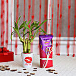 Kiss Day Special Lucky Bamboo Plant with Dairy Milk Silk