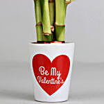 Lucky Bamboo Plant in Be My Valentine Ceramic Pot