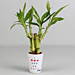 Lucky Bamboo Plant in Love You Pot & Dairy Milk Combo