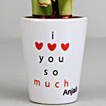 Lucky Bamboo Plant in Personalised I Love You Pot