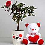Rose Plant in Personalised Love Pot with Teddy bear
