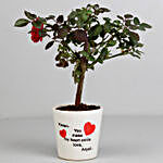 Rose Plant in Personalised Make My Heart Smile Pot