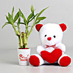 Lucky Bamboo In Hugs & Kisses Pot with Teddy Bear