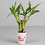 Lucky Bamboo In Hugs & Kisses Printed Pot