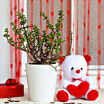 Jade Plant & Red Heart Teddy Bear Combo