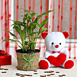 Peace Lily Plant & Hearty Teddy Bear Combo