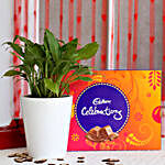 Peace Lily Plant in Ceramic Pot with Cadbury Celebrations
