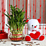 Three Layer Lucky Bamboo with Teddy Bear