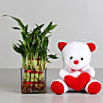 Two Layer Bamboo Plant & Red Heart Teddy Bear Combo